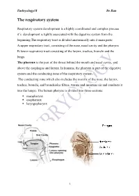 The Respiratory System