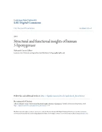Structural and Functional Insights of Human 5-Lipoxygenase