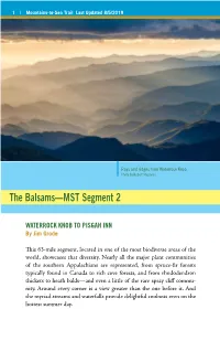 The Balsams—MST Segment 2
