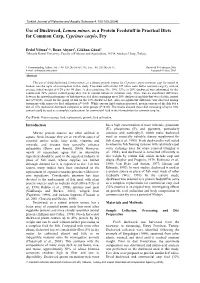Use of Duckweed, Lemna Minor, As a Protein Feedstuff in Practical Diets for Common Carp, Cyprinus Carpio, Fry