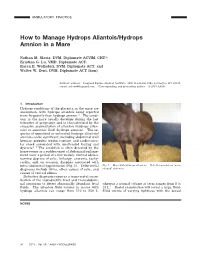 How to Manage Hydrops Allantois/Hydrops Amnion in a Mare
