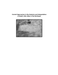 Current Approaches to the Analysis and Interpretation of Small Lithic Sites in the Northeast the UNIVERSITY of the STATE of NEW YORK