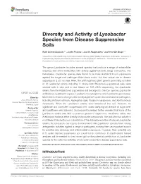 Diversity and Activity of Lysobacter Species from Disease Suppressive Soils
