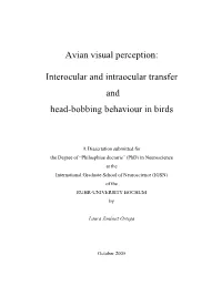 Avian Visual Perception: Interocular and Intraocular Transfer and Head
