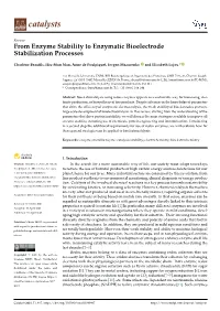 From Enzyme Stability to Enzymatic Bioelectrode Stabilization Processes