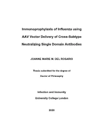 Immunoprophylaxis of Influenza Using AAV Vector Delivery of Cross