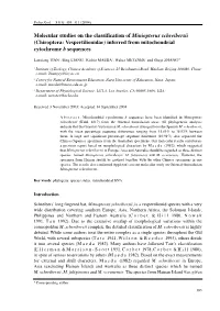 Molecular Studies on the Classification of Miniopterus Schreibersii (Chiroptera: Vespertilionidae) Inferred from Mitochondrial Cytochrome B Sequences