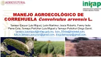 Presentación De Powerpoint