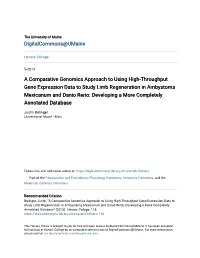 A Comparative Genomics Approach to Using High-Throughput