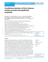 Conditional Deletion of ELL2 Induces Murine Prostate Intraepithelial Neoplasia