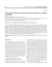 Interaction Between Auditory and Motor Systems in Speech Perception