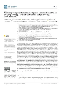 Assessing Temporal Patterns and Species Composition of Glass Eel (Anguilla Spp.) Cohorts in Sumatra and Java Using DNA Barcodes