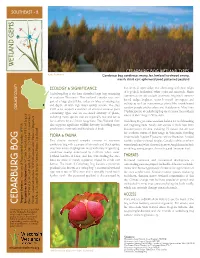 CEDARBURG BOG WETLAND TYPES Kate Redmond Coniferous Bog, Coniferous Swamp, Fen, Lowland Hardwood Swamp, Marsh, Shrub Carr, Ephemeral Pond, Patterned Peatland