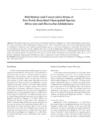 Distribution and Conservation Status of Two Newly Described Cheirogaleid Species, Mirza Zaza and Microcebus Lehilahytsara