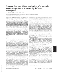Evidence That Subcellular Localization of a Bacterial Membrane Protein Is Achieved by Diffusion and Capture