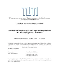 Mechanisms Regulating Gabaergic Neurogenesis in the Developing Mouse Midbrain