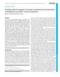 Muscular Mechanisms and Kinematics of Rectilinear Locomotion in Boa Constrictors Steven J