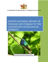 Trinidad and Tobago
