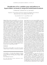 Identification of Key Candidate Genes and Pathways in Hepatocellular Carcinoma by Integrated Bioinformatical Analysis