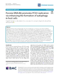 Porcine DNAJB6 Promotes PCV2 Replication Via Enhancing The