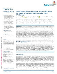 Active Subaquatic Fault Segments in Lake Iznik Along the Middle Strand