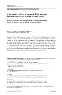 In the Dark in a Large Urban Park: DNA Barcodes Illuminate Cryptic and Introduced Moth Species