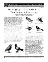 Managing Urban Pest Bird Problems in Kentucky Thomas G