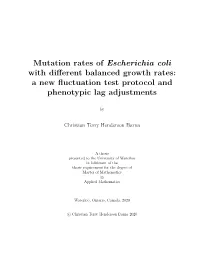 Mutation Rates of Escherichia Coli with Different Balanced Growth Rates: a New Fluctuation Test Protocol and Phenotypic Lag Adju