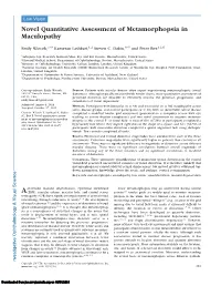 Novel Quantitative Assessment of Metamorphopsia in Maculopathy