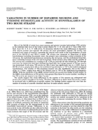 Variations in Number of Dopamine Neurons and Tyrosine Hydroxylase Activity in Hypothalamus of Two Mouse Strains