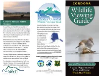 Cordova Wildlife Viewing Guide
