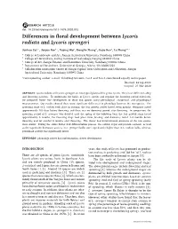 Differences in Floral Development Between Lycoris Radiata And