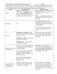 Digestive System Information for Patient Diagnoses