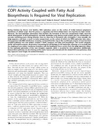 COPI Activity Coupled with Fatty Acid Biosynthesis Is Required for Viral Replication