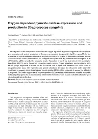 Oxygen Dependent Pyruvate Oxidase Expression and Production in Streptococcus Sanguinis
