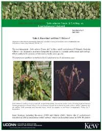 Name Clarification: Salix Udensis Trautv. & C.A.Mey. Vs. S.Sachalinensis F.Schmidt