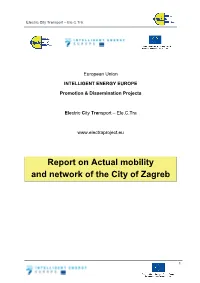 Report on Actual Mobility and Network of the City of Zagreb