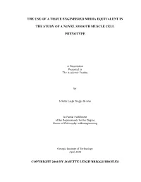 [Thesis Title Goes Here]