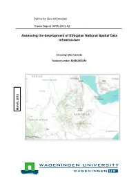 Assessing the Development of Ethiopian National Spatial Data Infrastructure