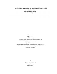 Computational Approaches for Understanding One-Carbon