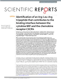 Identification of an Arg-Leu-Arg Tripeptide That Contributes to The