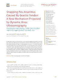 Snapping Pes Anserinus Caused by Gracilis Tendon: a New Mechanism
