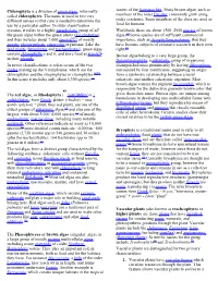Chlorophyta Is a Division of Green Algae, Informally Called