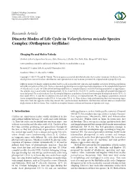Discrete Modes of Life Cycle in Velarifictorus Micado Species Complex (Orthoptera: Gryllidae)