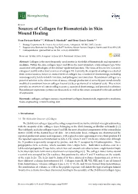 Sources of Collagen for Biomaterials in Skin Wound Healing