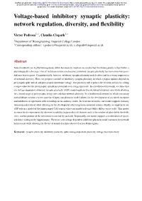 Voltage-Based Inhibitory Synaptic Plasticity: Network Regulation, Diversity, and Flexibility