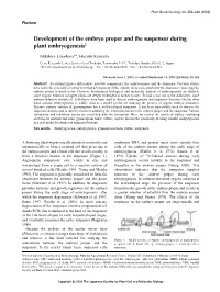 Development of the Embryo Proper and the Suspensor During Plant Embryogenesis‡