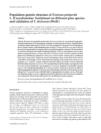 Population Genetic Structure of Tomicus Piniperda L. (Curculionidae: Scolytinae) on Different Pine Species and Validation of T