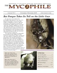 Bat Fungus Takes Its Toll on the Little Guys in Early 2006, a Caver Noticed and Photographed What Appeared to Be a Fine White Mass on Bats in Howe’S Cave in New York