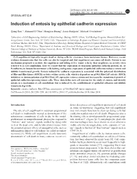Induction of Entosis by Epithelial Cadherin Expression